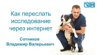 Почему и как переслать исследование через интернет и почему именно так.
