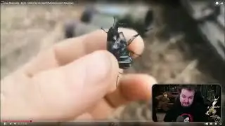 Грушевый Сидр
