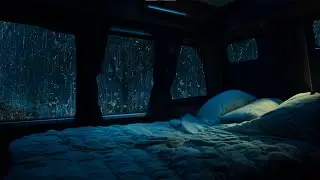 Falling Asleep Immediately Upon Hearing The Sound Of Rain Outside The Car Window In The Forest