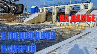 Ищу рыбу и КЛАДЫ!!! Зимой на ДАМБЕ И РЕКЕ с подводной камерой.