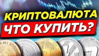 Какие монеты добавить в свой крипто портфель? Топ криптовалют и IDO платформ.