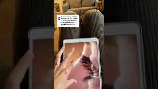 Wait what was that 🐜
