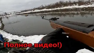НАЧАЛОСЬ , сезон охоты на вредителей 2024 к сожалению открыт ПОЛНОЕ ВИДЕО ... Жизнь У Пруда