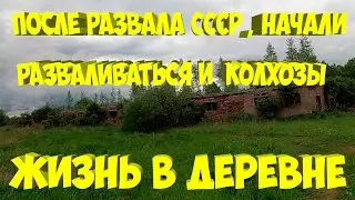 После развала СССР, начали разваливаться и созданные при нем колхозы. [Жизнь в деревне]
