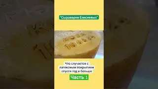 Что случается с латексным покрытием спустя год и больше / Сыроварня Елисеевых / Часть 1