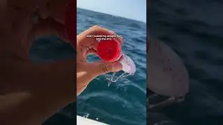He EXPLODED on this Lure