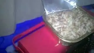 Санкции , да нам пох нам них!!