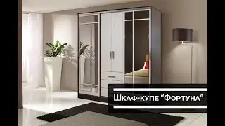 Шкаф-купе 