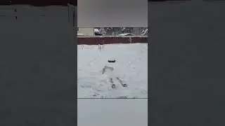 Баня и снежные ванны #баня#shortvideo#снег #хочуврек #всемздоровья