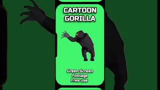CARTOON GORILLA green screen. Footage animation of the GREEN SCREEN.