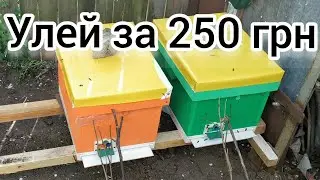 УЛЕЙ ЭППС ЗА 250 грн. ЧТО ЛУЧШЕ УЛЕЙ С ДЕРЕВА ИЛИ ЭППС?ПЧЕЛОВОДСТВО.WHICH HIVE TO CHOOSE?BEE.