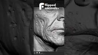 FlippedNormals Skin Kit