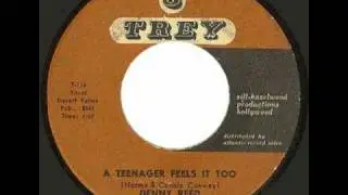 DENNY REED - A Teenager Feels It Too (1960) Super Teener!
