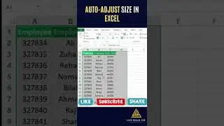 #shorts | Auto-Adjust in Excel | #howto #ytshorts #2023shorts