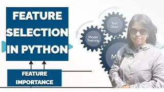 Feature Selection in Python - Feature Importance