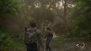 THE LAST OF US NATURE 1 HOUR AMBIENCES (PC 2022 GAME REMAKE 2013 PART 1)