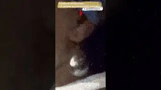 Как УСЛЫШАТЬ фреску Леонардо да Винчи. СЕКРЕТЫ известных КАРТИН.