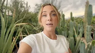 Buying Plants for our Desert Airbnb (Life as Airbnb Hosts)