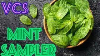 WAX HAUL!! VINTAGE CHIC SCENTS MINT SAMPLER BAG #vendorwax #waxmelts #waxhaul #mint #minty