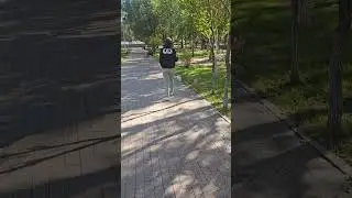 Тёплые деньки..