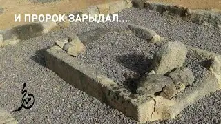 И ЗАПЛАКАЛ ПРОРОК ﷺ...