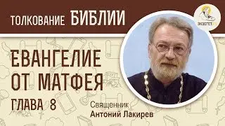 Евангелие от Матфея. Глава 8. Священник Антоний Лакирев. Новый Завет