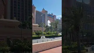 Арабы — строители суши