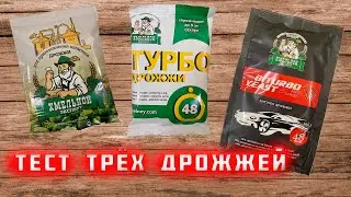 Тест турбо дрожжей. Хмельной Эксперт, Турбо дрожжи 48, Biturbo Yeast Alco Power 48 на ЛЮКССТАЛЬ 8М.