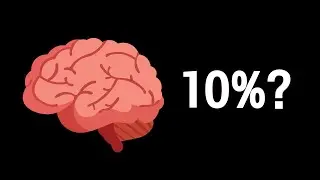 우리는 진짜 뇌의 10%만 사용할까?