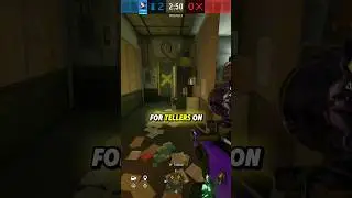 Best Azami Setup For Border Tellers! #rainbowsixsiege #siege #r6 #shorts #clips #gaming #r6siege
