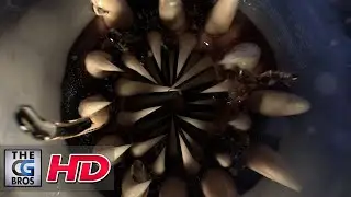 CGI 3D Animated Short: 