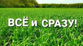 Знову НАХИМИЧИЛИ! Опрыскав и офигел🤔  Гербицид, инсектицид, карбамид,  фунгицид  на пшеницу