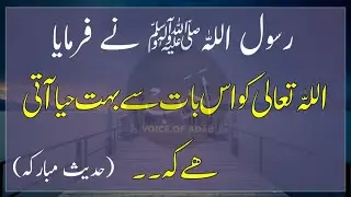Hadees Mubarik | Allah Ko Iss Baat Se Haya Aati Hai | Hadees in Urdu | Deen Islam Ki Baatein