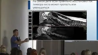 Вестибулярные нарушения у кошек и собак