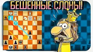 Учебная атака! Жертва двух слонов за две пешки. Шахматы