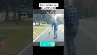 Momen luar biasa yang menggetarkan hati