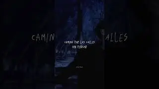 Tranzas - Morí [letra]