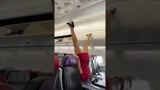 WTF 😅😂 #shorts #flightattendant #cabincrew