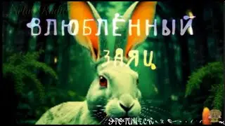 Влюблённый Заяц_ Эротическая опера, трагикомедия! 🐰😊