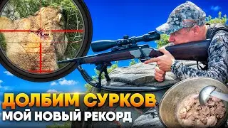 Мой новый рекорд по сурку | Охота на сурка с нарезным