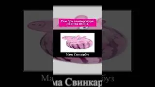 1000 лайков — прода 🐷 