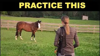 SAFELY GET A HORSE IN A PASTURE 🐴