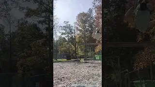 quick little line