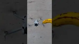 Mini 4 Stability Test