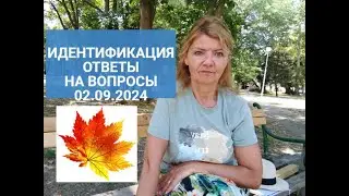 ИДЕНТИФИКАЦИЯ ПЕНСИОНЕРОВ :Ответы на ваши вопросы 02 09 24.