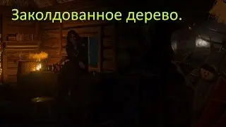 Ведьма с Рысьей скалы.Ведьмак 3: Кровь и Вино №12