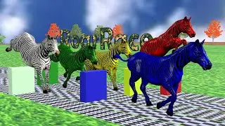 Zebra Race in Rainy Day, Epic Animal Racing  - Roar Race