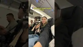СКОЛЬКО СТОИТ ПОЛЕТ С ЖИВОТНЫМИ В НЬЮ ЙОРК