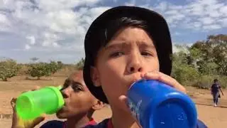 PASSEIO ESCOLAR E MACACOS ROUBANDO COMIDA