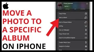How to Move a Photo to Specific Album on iPhone [QUICK GUIDE]
